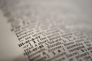 dictionary-literacysm